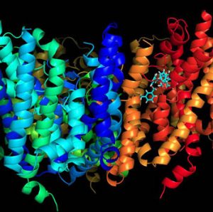 glutamine structure