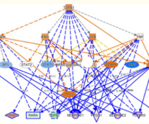 An interacting factor in leukemia